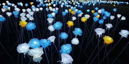 玫瑰灯海与彩色音阶 台北新晋浪漫光影打卡圣地